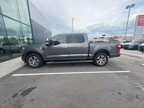 Gray Metallic 2022 Ford F-150 Platinum