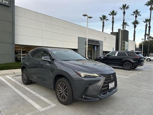 2022 Lexus NX 250 Base