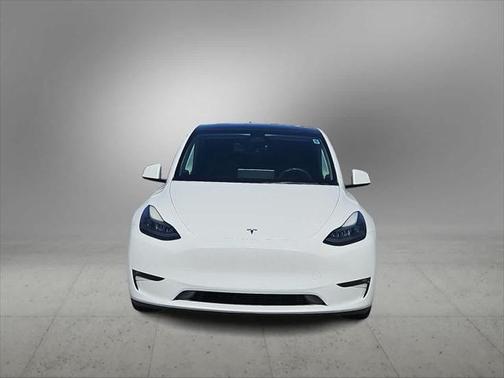 2021 Tesla Model Y Performance Dual Motor All-Wheel Drive