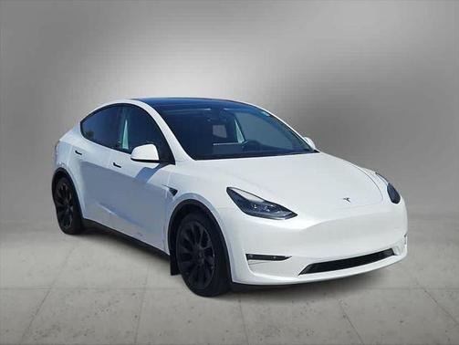 2021 Tesla Model Y Performance Dual Motor All-Wheel Drive