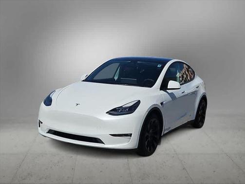 2021 Tesla Model Y Performance Dual Motor All-Wheel Drive