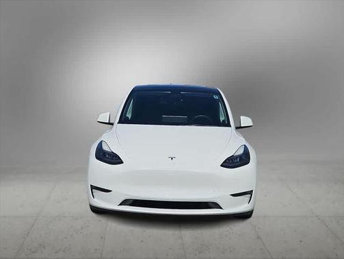 2021 Tesla Model Y Performance Dual Motor All-Wheel Drive