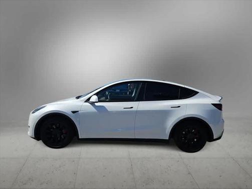 2021 Tesla Model Y Performance Dual Motor All-Wheel Drive