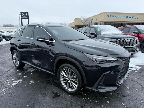 2023 Lexus NX 350 Luxury