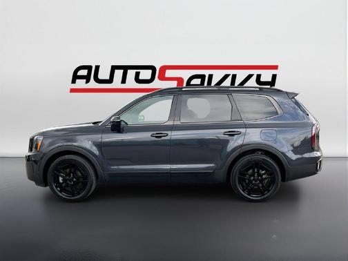 Panthera Metal 2025 Kia Telluride SX Prestige X-Line