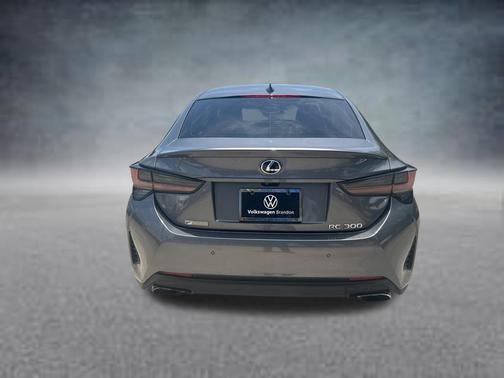 Nebula Gray Pearl 2019 Lexus RC 300 F Sport