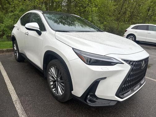 2024 Lexus NX 350h Luxury