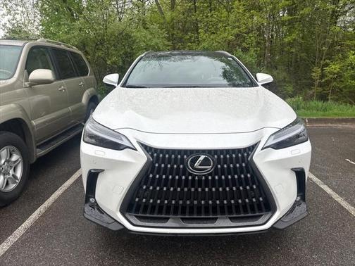 2024 Lexus NX 350h Luxury