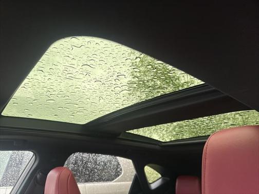2024 Lexus NX 350h Luxury