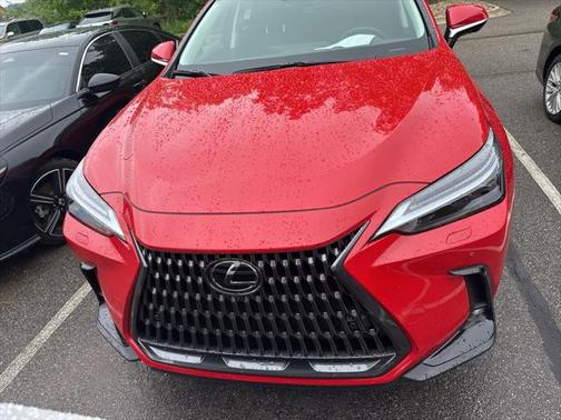 2025 Lexus NX 350h Luxury
