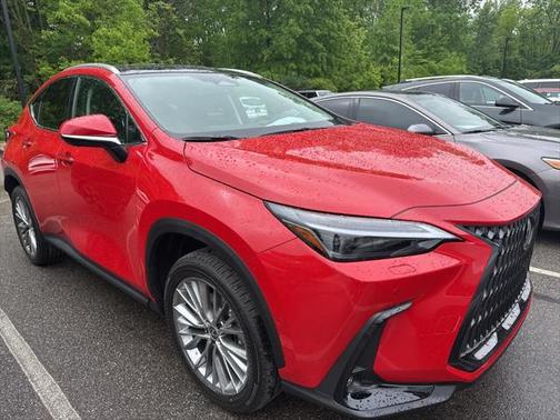 2025 Lexus NX 350h Luxury