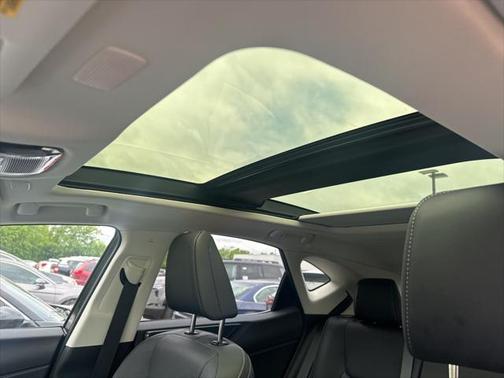 2024 Lexus NX 350 Luxury