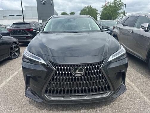 2024 Lexus NX 350 Luxury