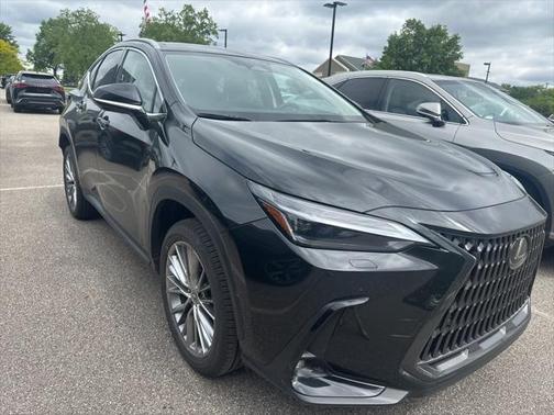2024 Lexus NX 350 Luxury