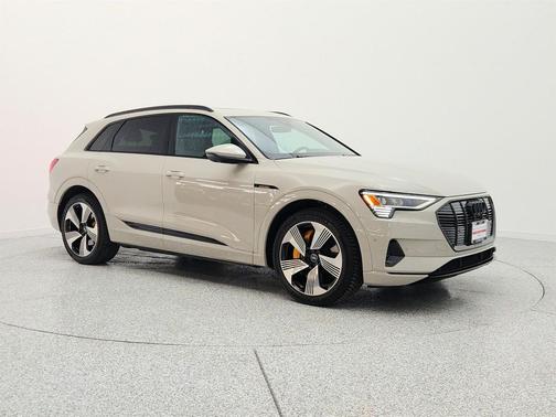 Siam Beige Metallic 2022 Audi e-tron Premium Plus