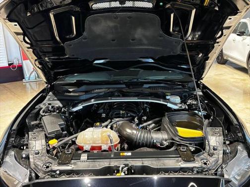 2019 Ford Shelby GT350 Base