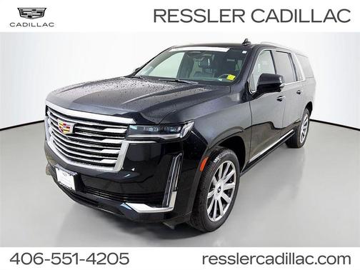 Black Raven 2024 Cadillac Escalade ESV Premium Luxury Platinum