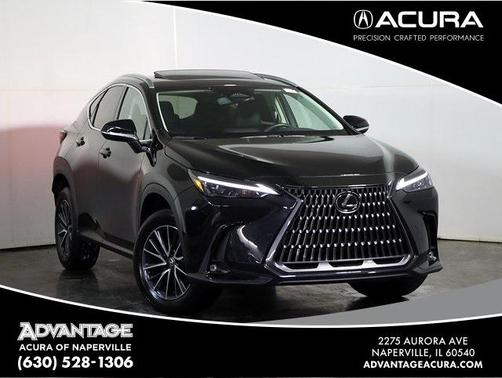 2024 Lexus NX 350 Base