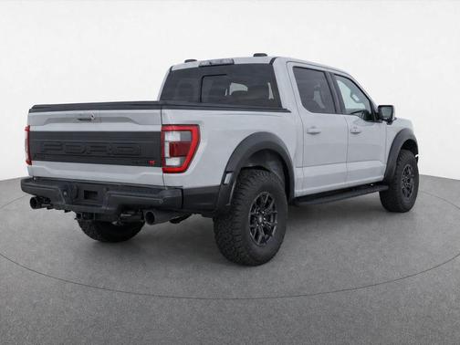 Avalanche 2023 Ford F-150 Raptor