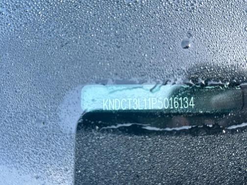 2023 Kia Niro EV Wave