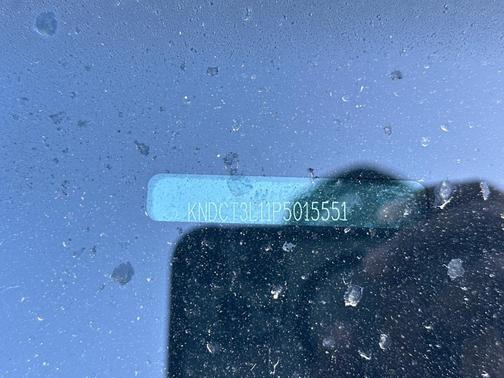 Snow White Pearl 2023 Kia Niro EV Wave