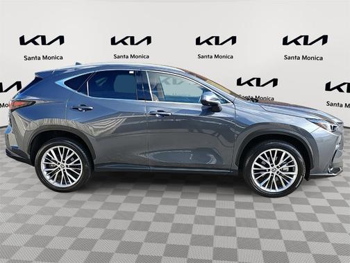2024 Lexus NX 350 Luxury