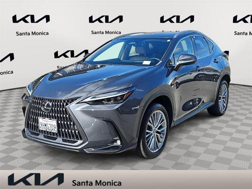 2024 Lexus NX 350 Luxury