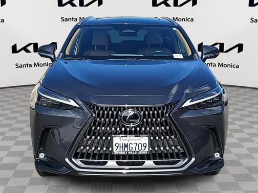 2024 Lexus NX 350 Luxury