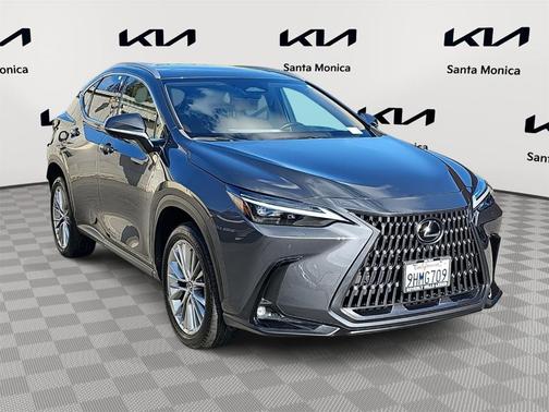 2024 Lexus NX 350 Luxury