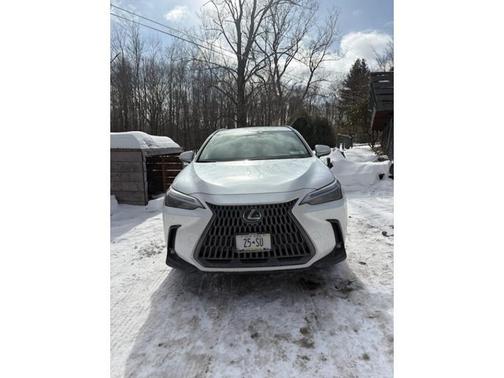 2024 Lexus NX 250 Base