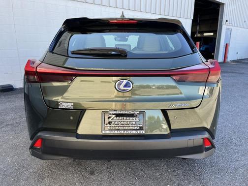 2019 Lexus UX 250h F Sport
