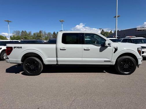 Avalanche Gray Metallic 2026 Ford F-150 Platinum