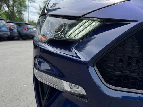 Kona Blue Metallic 2019 Ford Mustang GT Premium