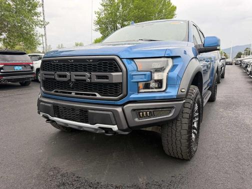 Ford Performance Blue Metallic 2019 Ford F-150 Raptor