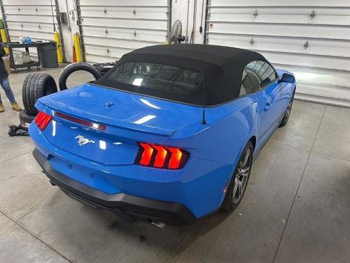 GRABBER BLUE METALLIC 2025 Ford Mustang ECOBOOST PREMIUM