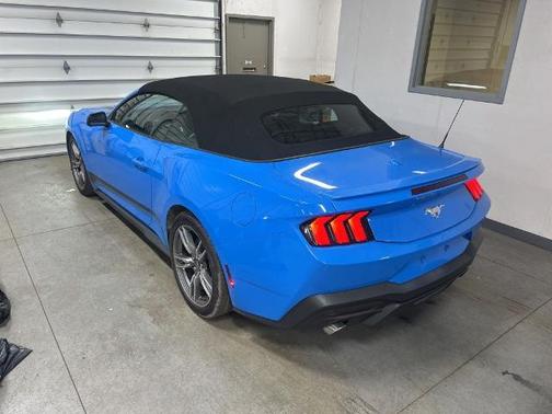 GRABBER BLUE METALLIC 2025 Ford Mustang ECOBOOST PREMIUM