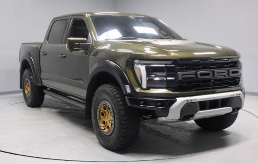 SHELTER GREEN 2024 Ford F-150 RAPTOR