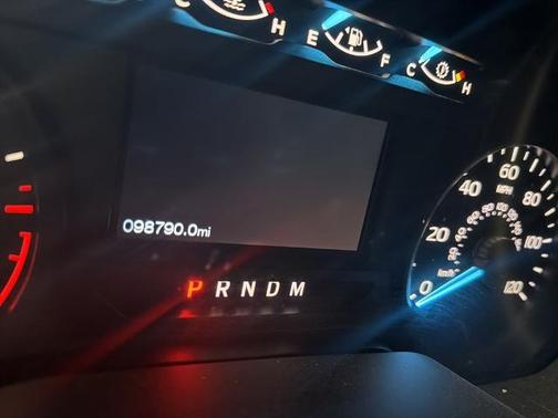 VELOCITY BLUE 2019 Ford F-150 XL