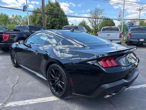 Shadow Black 2025 Ford Mustang EcoBoost