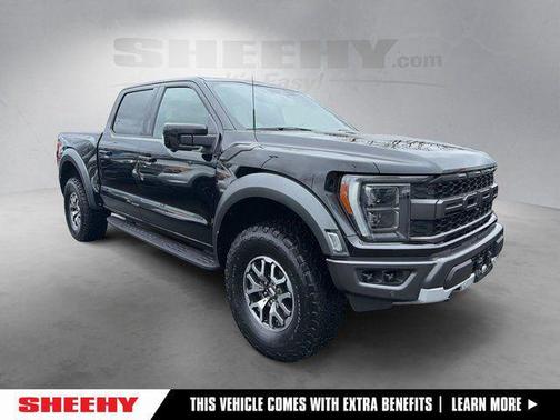Agate Black Metallic 2022 Ford F-150 Raptor Truck