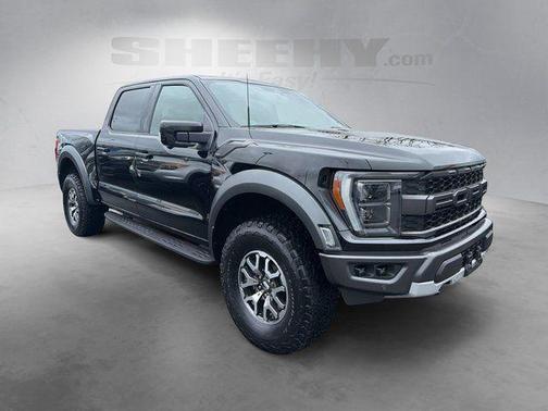 Agate Black Metallic 2022 Ford F-150 Raptor
