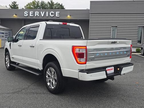 2022 Ford F-150 Platinum