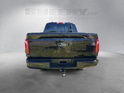 Agate Black Metallic 2024 Ford F-150 XLT