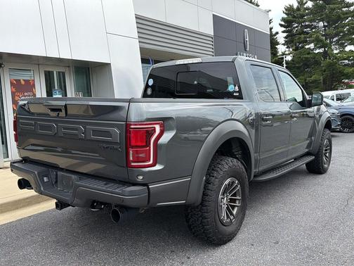 Magnetic Metallic 2020 Ford F-150 Raptor