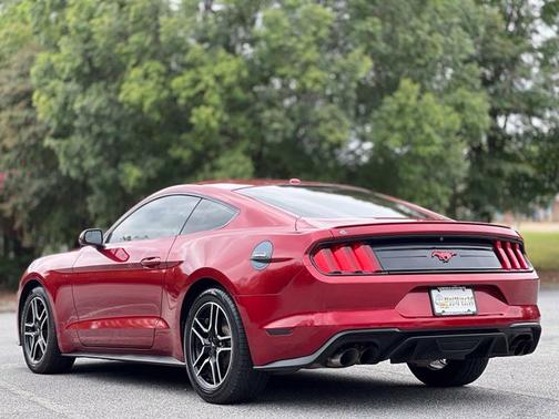 Ruby Red Metallic 2019 Ford Mustang EcoBoost