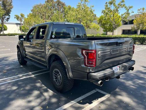 Magnetic Metallic 2020 Ford F-150 Raptor
