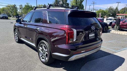 Sierra Burgundy 2024 Hyundai PALISADE SEL
