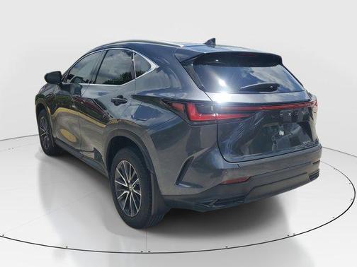 Gray 2025 Lexus NX 250 Premium