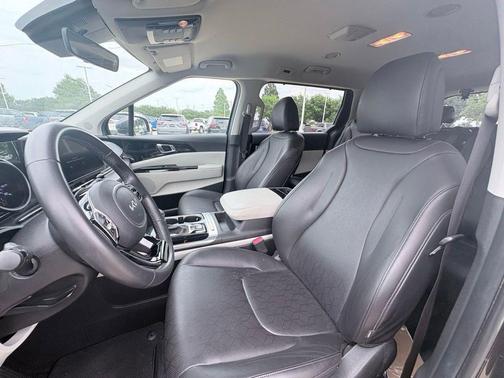 Panthera Metal 2024 Kia Carnival EX