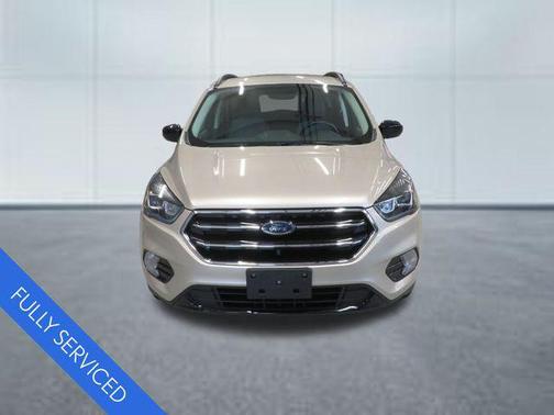 White Gold Metallic 2017 Ford Escape SE